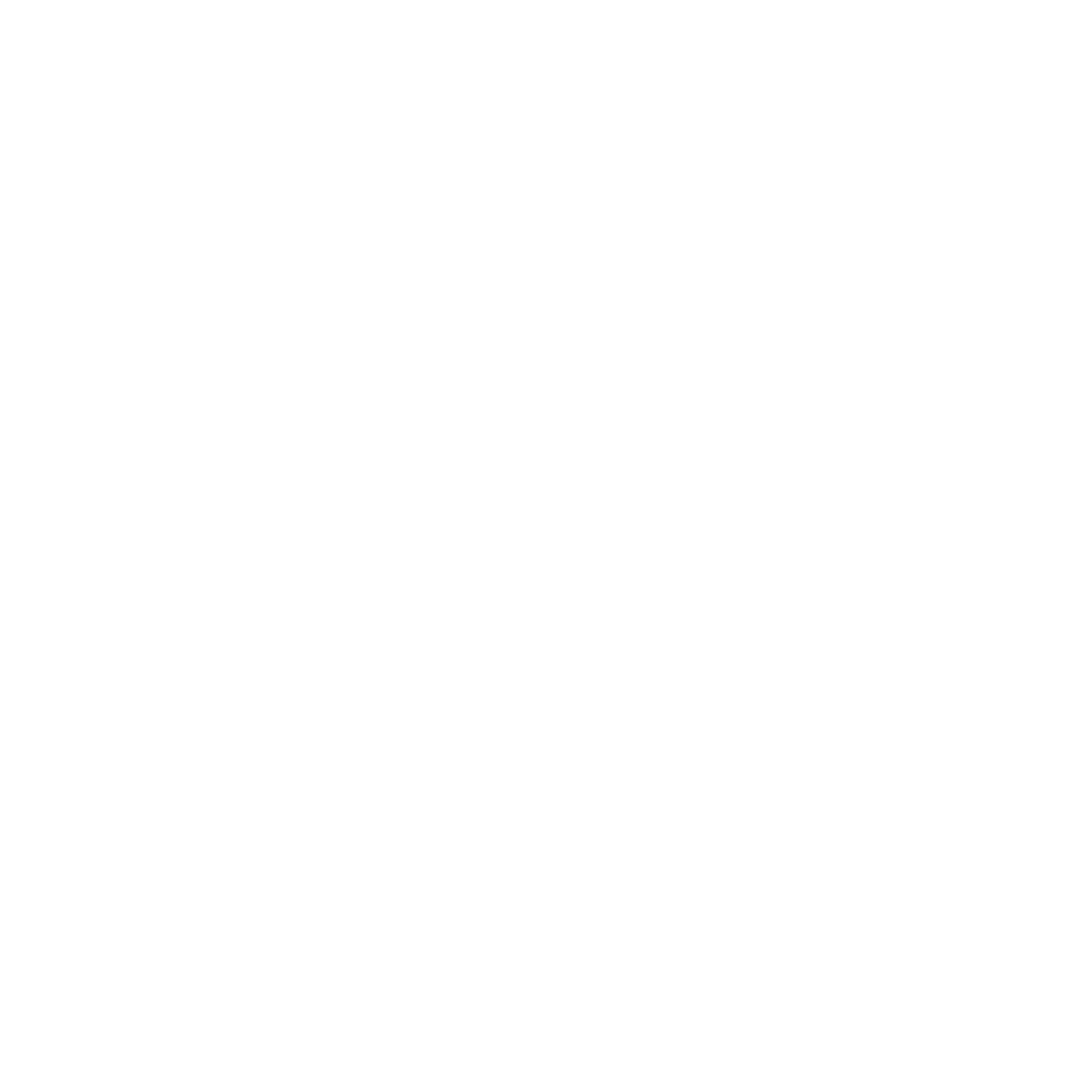 white discord logo